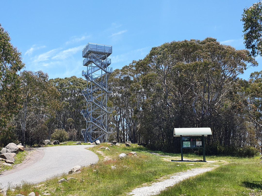 Mount Donna Buang景点图片