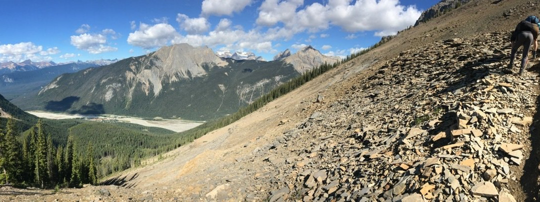 The Burgess Shale Geoscience Foundation景点图片