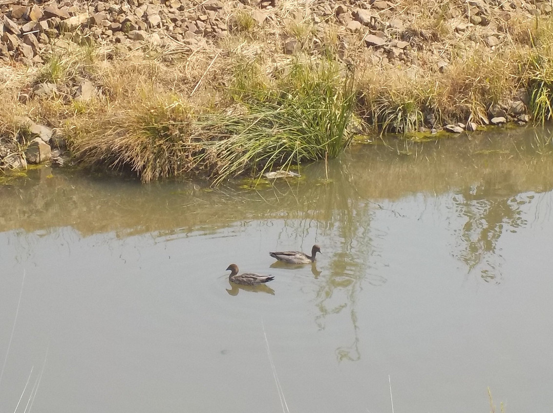 Dandenong Creek Trail-格伦韦弗利必去景点