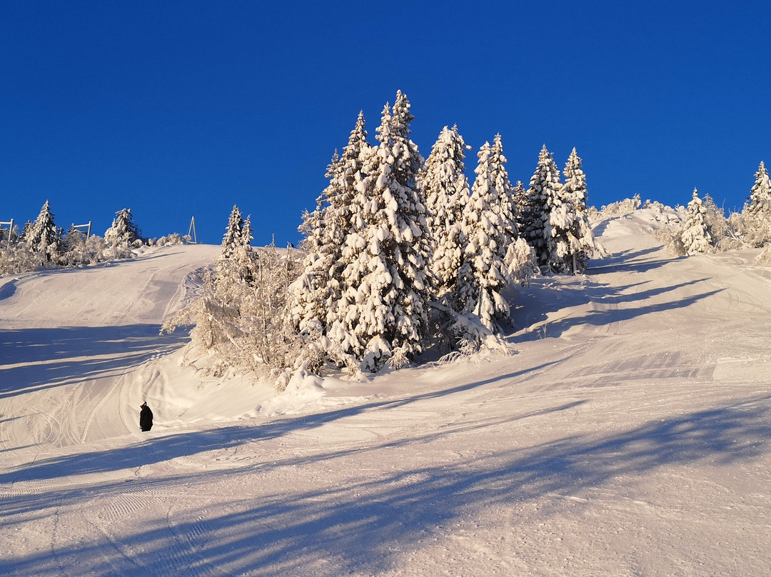 Stavadalen Ski Center景点图片