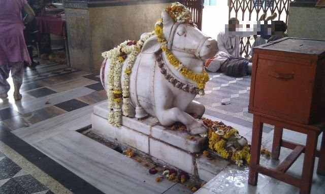 Daksh Mahadev Temple景点图片