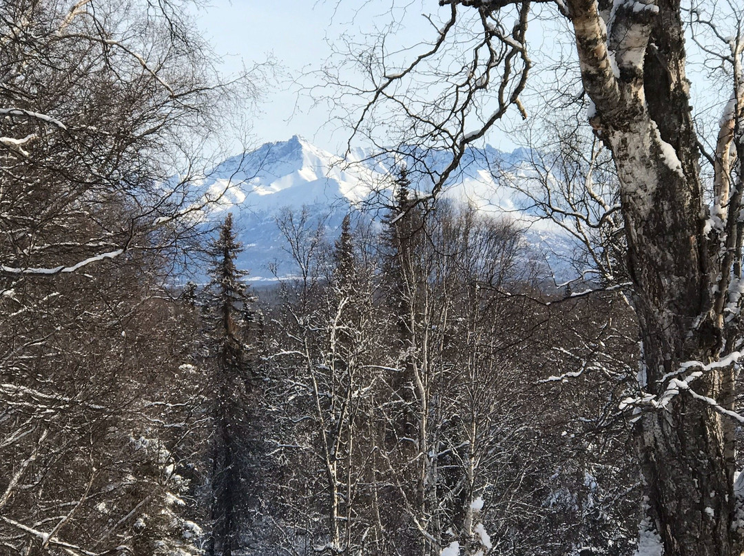 Government Peak Recreation Area-帕尔默必去景点