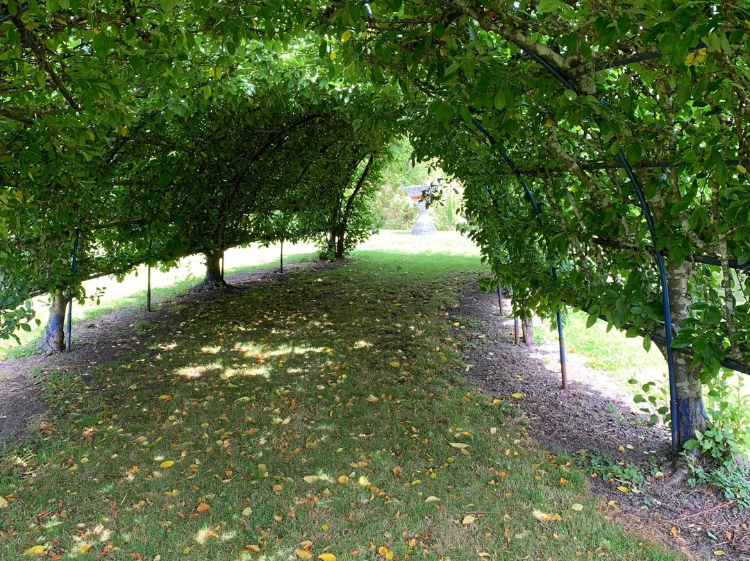 Sprokkelwood Art Garden景点图片