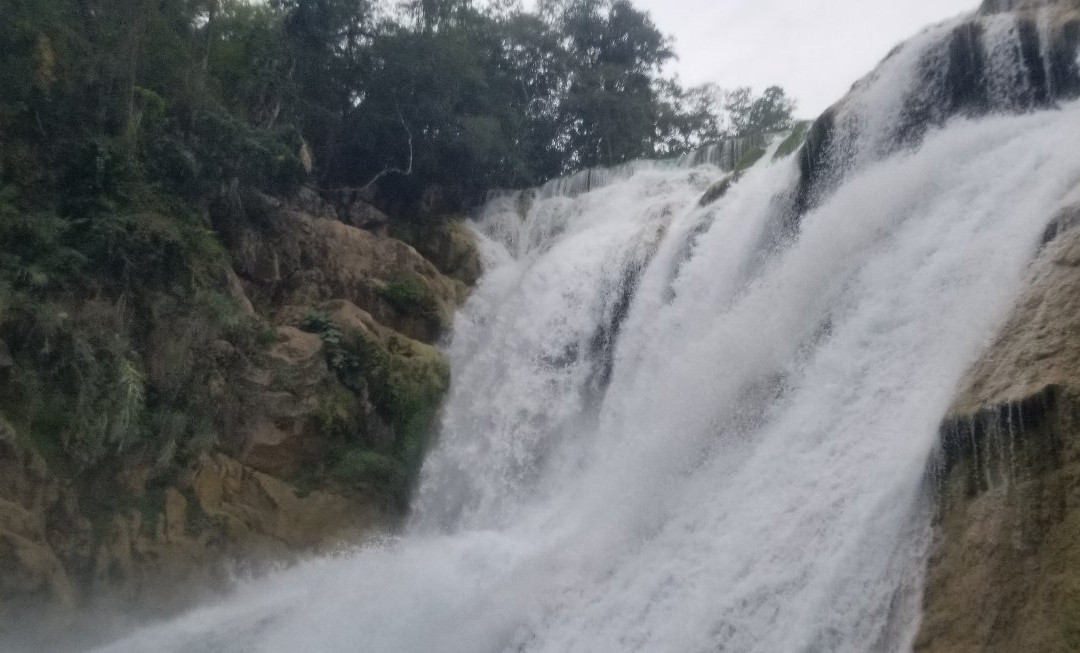 Centro Ecoturistico El Meco-El Naranjo必去景点