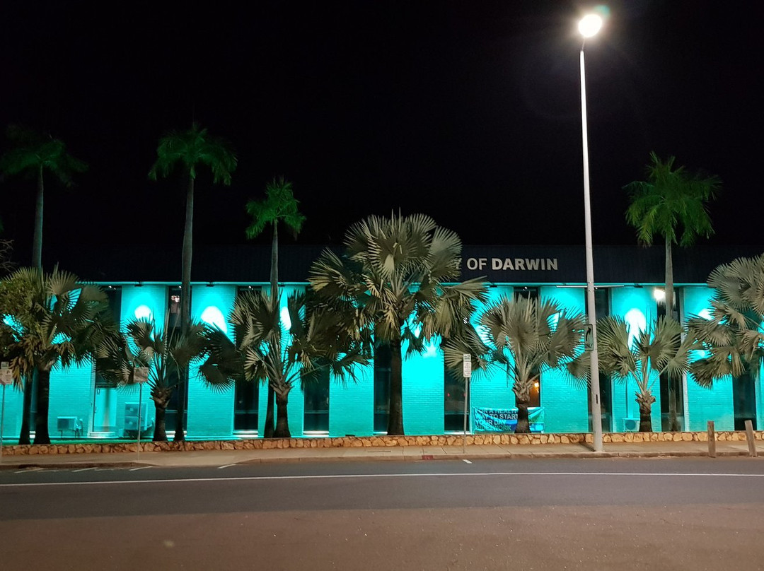 Northern Territory Library-达尔文市必去景点