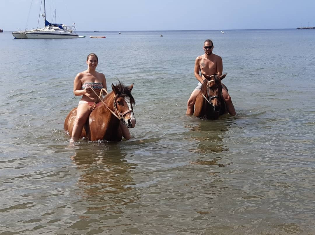 Rainforest Riding-Portsmouth必去景点