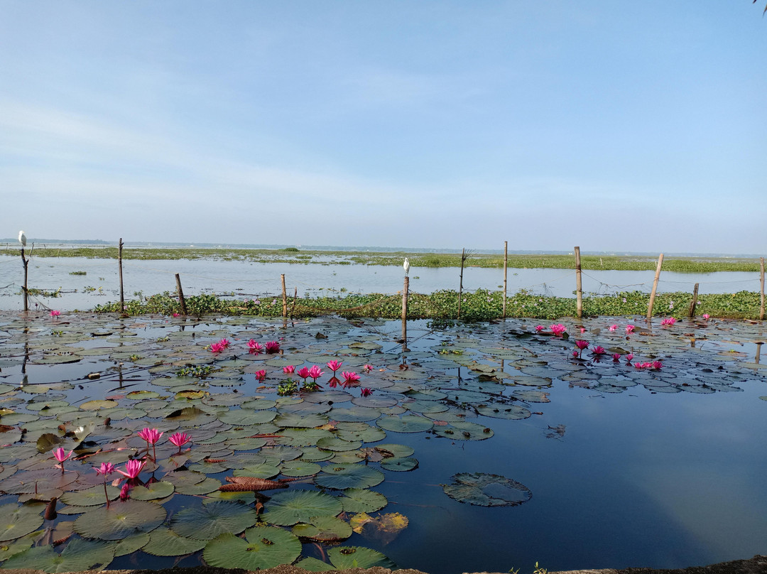 Coconut Lagoon, CGH Earth主图