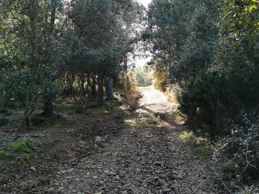 Parco Naturale Regionale dei Sette Fratelli-Burcei必去景点