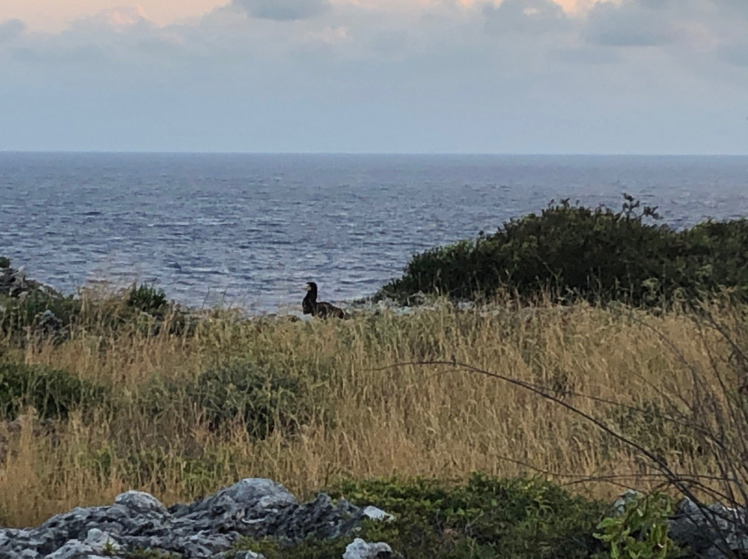 Lighthouse Footpath-Cayman Brac必去景点