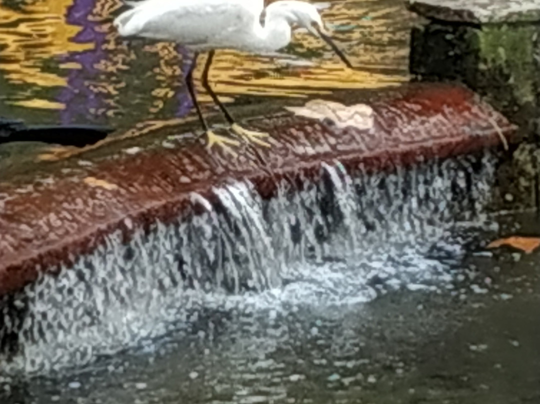 Parque de los Tecajetes景点图片