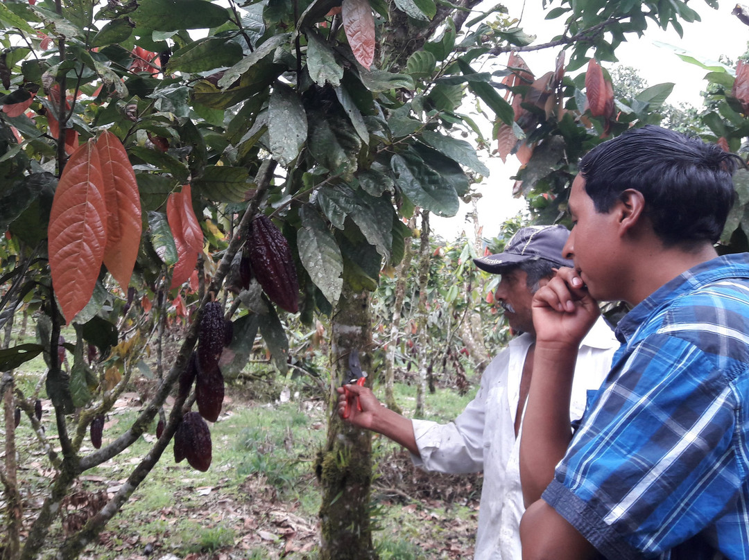 Finca Saquifrancia-Puyo必去景点