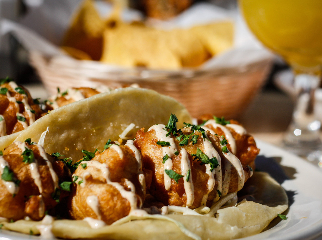 布莱克斯堡餐馆和美食-Cabo Fish Taco