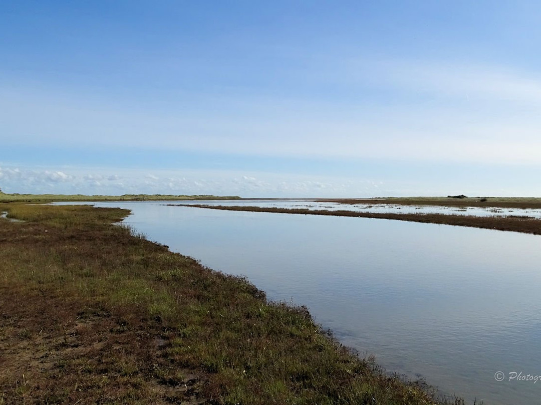The Raven Nature Reserve-Curracloe必去景点