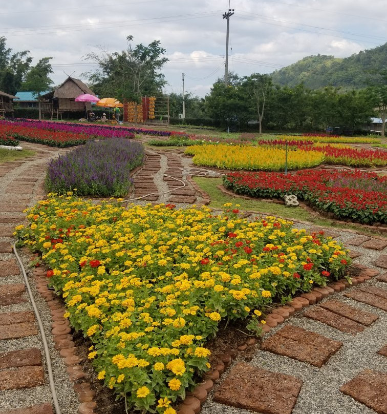 Botanical Garden景点图片