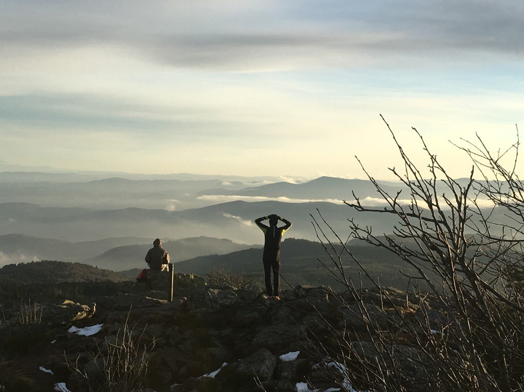 La Fortance Paradis Naturel - Proche de la Ville