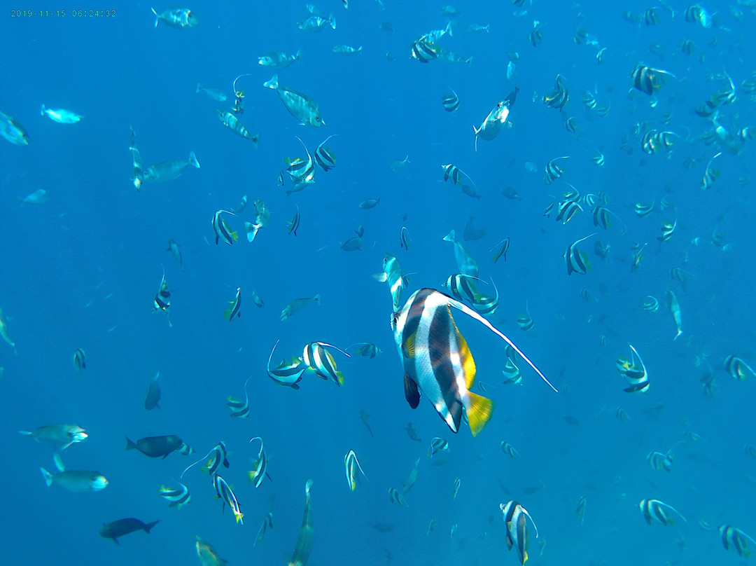 Boaveli Maldives Guesthouse主图