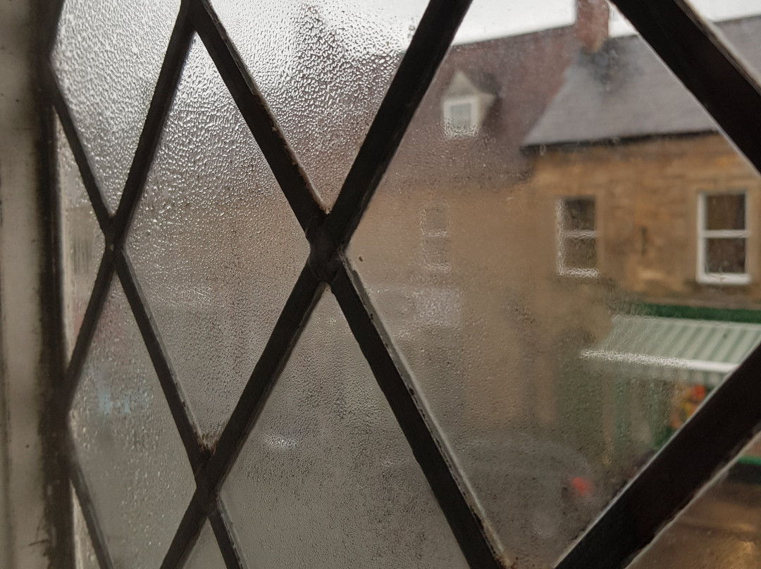 The Dolphin Hotel主图