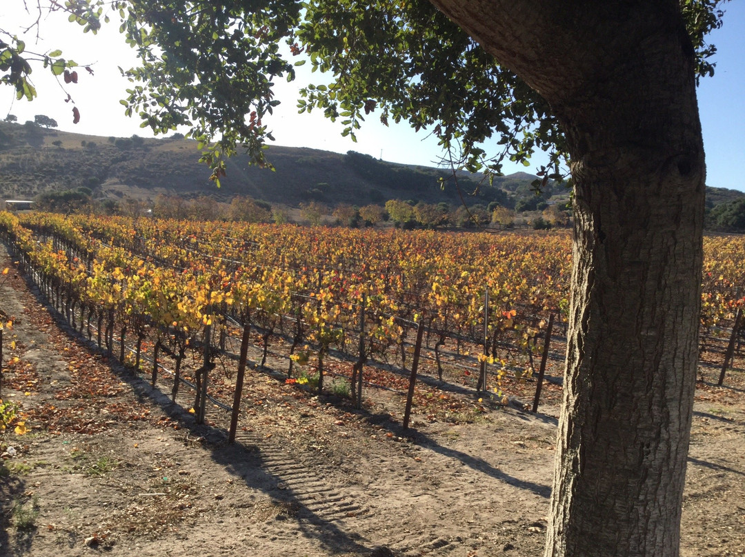 Foley Estates Vineyard & Winery-隆波克必去景点