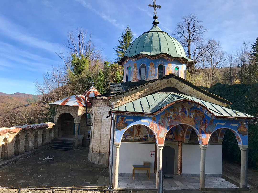 Sokolski Monastery景点图片