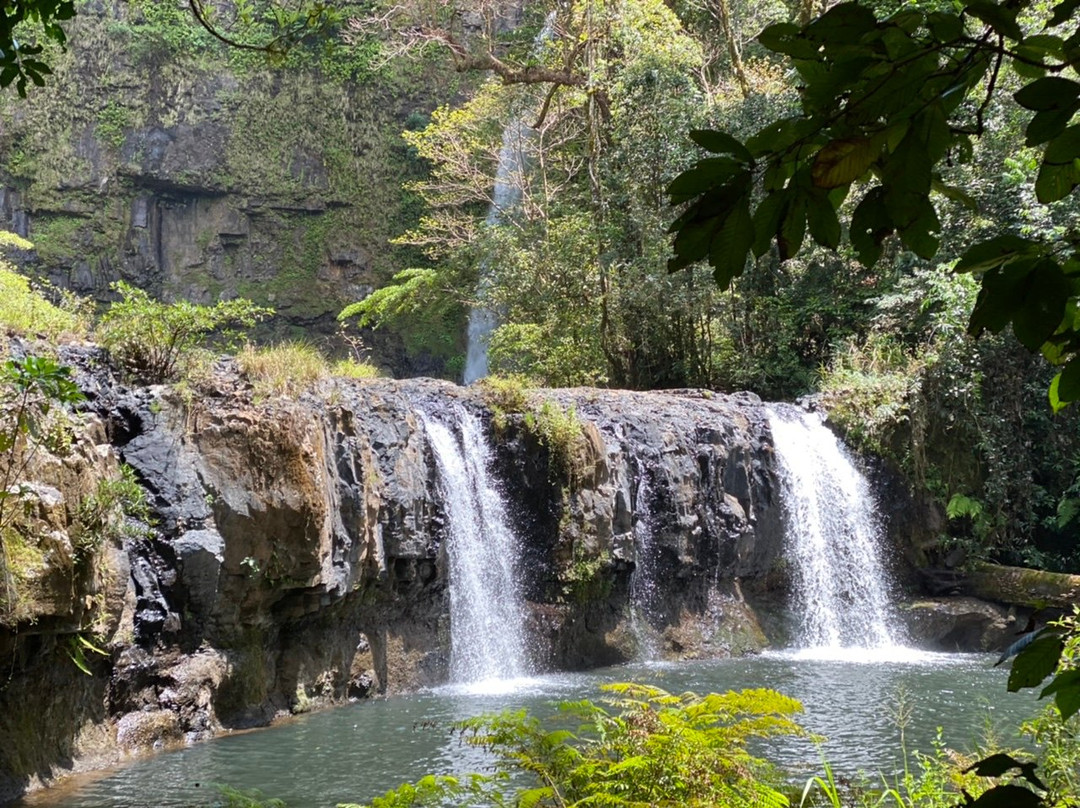 Nandroya Falls- 阿瑟顿必去景点