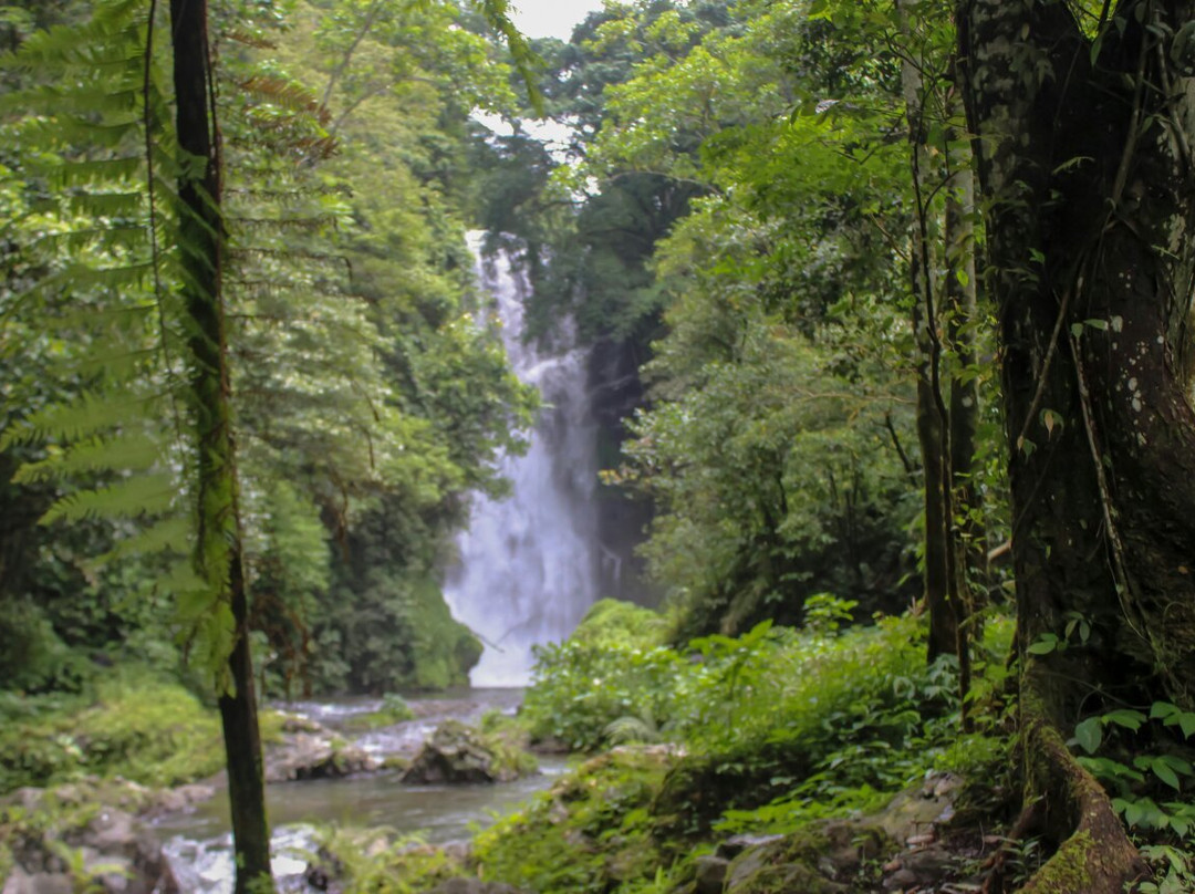 Cemara Waterfall景点图片