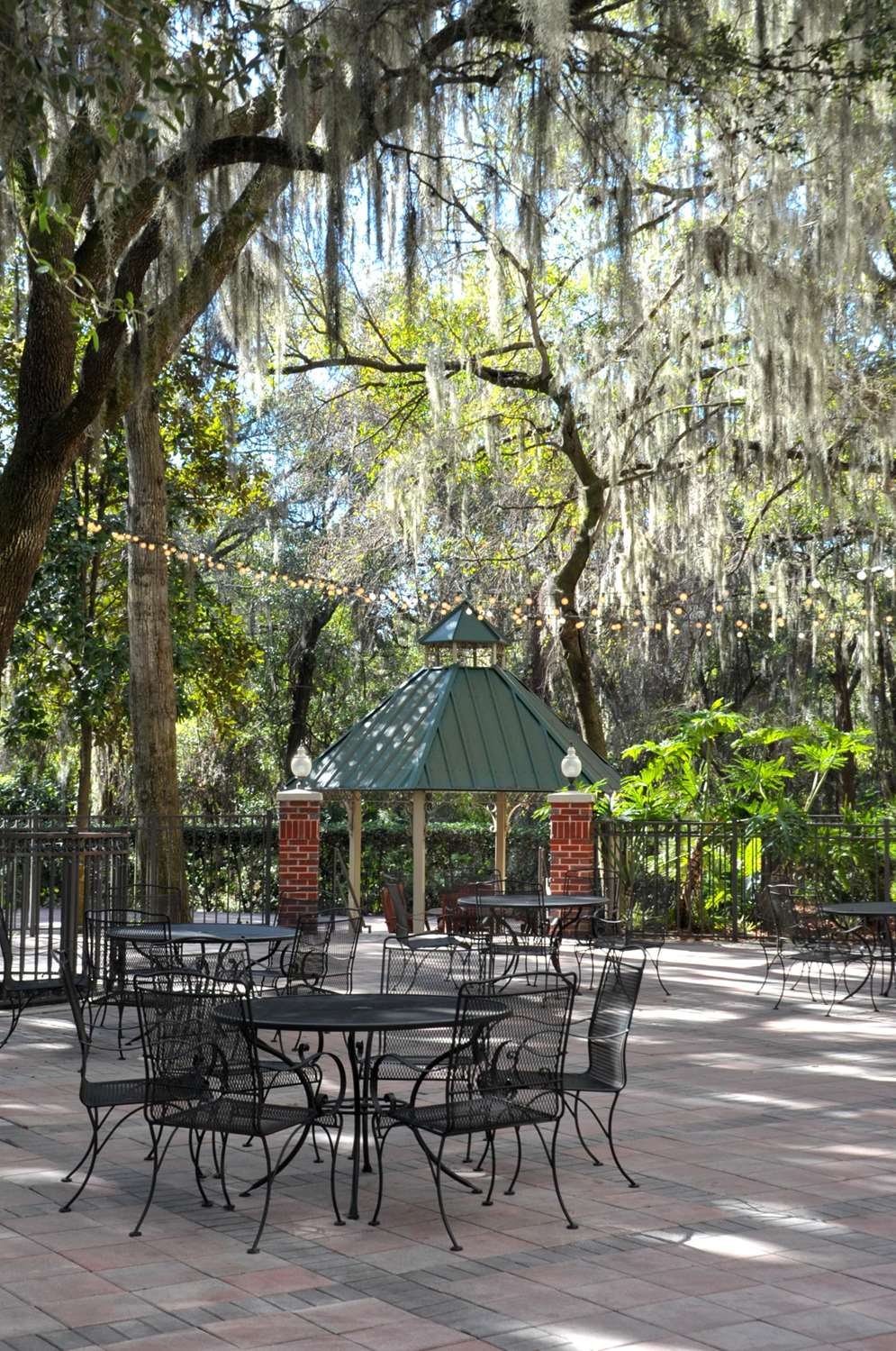 东坦帕/布兰登希尔顿花园酒店-官方