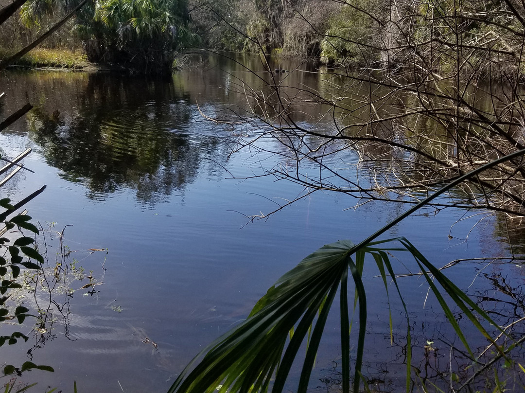 Felts Audubon Preserve-Palmetto必去景点