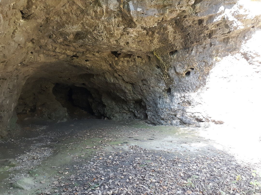 Wapsipinicon State Park-Anamosa必去景点