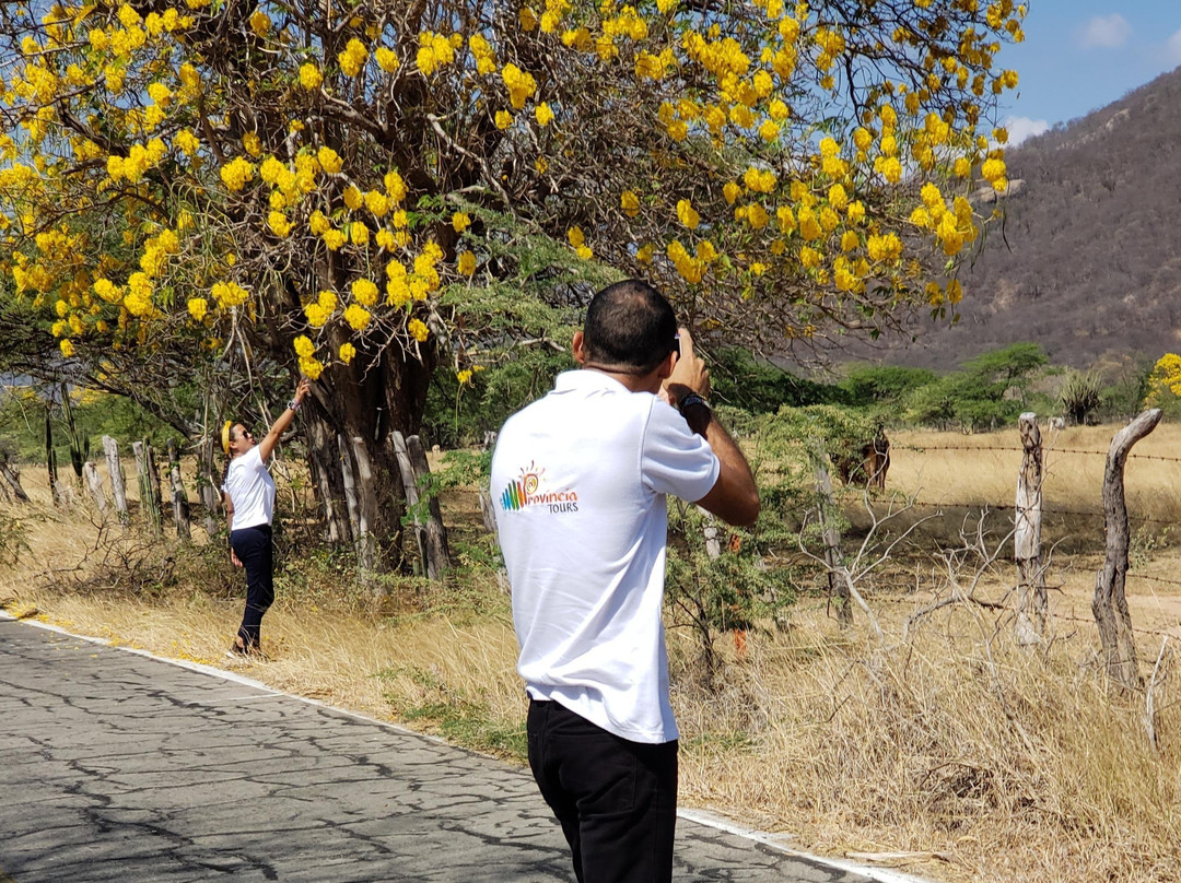 Provincia Tours-巴耶杜帕尔必去景点