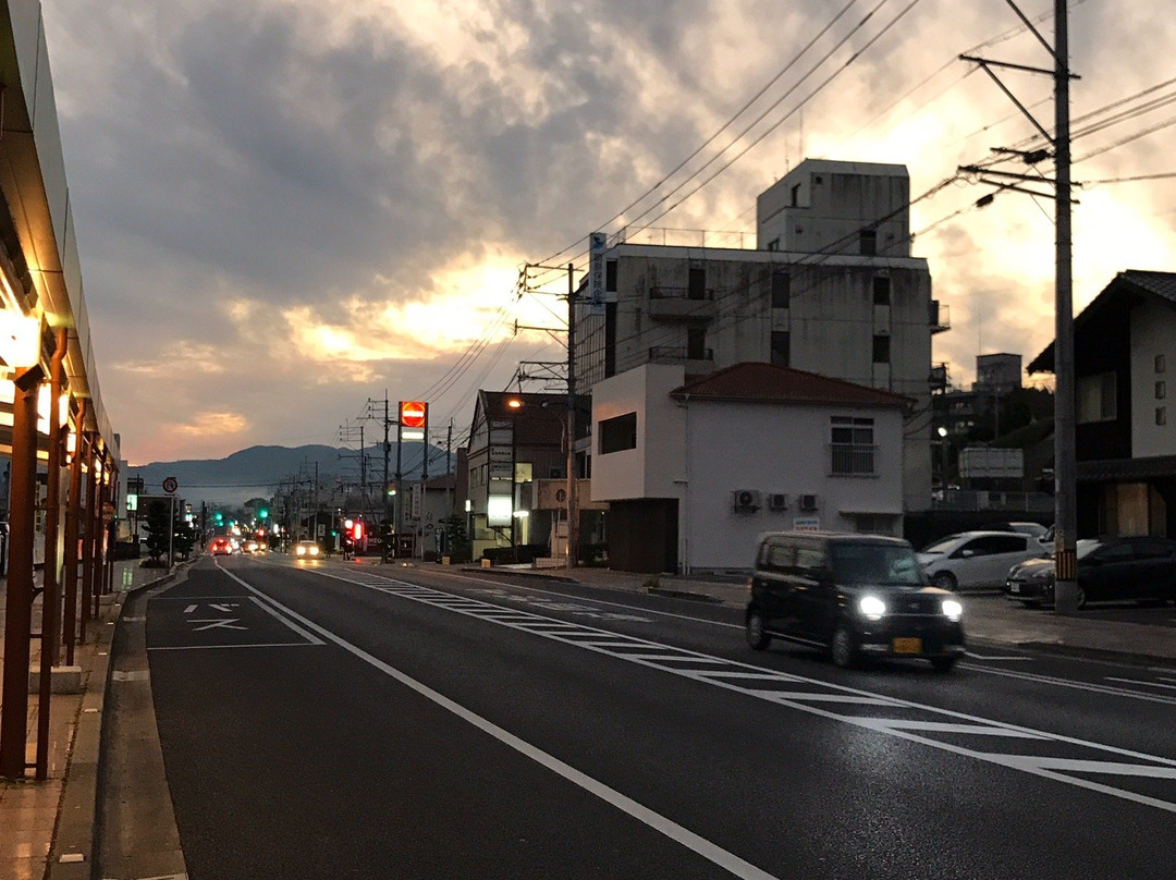 Mifuneyama Rakuen景点图片