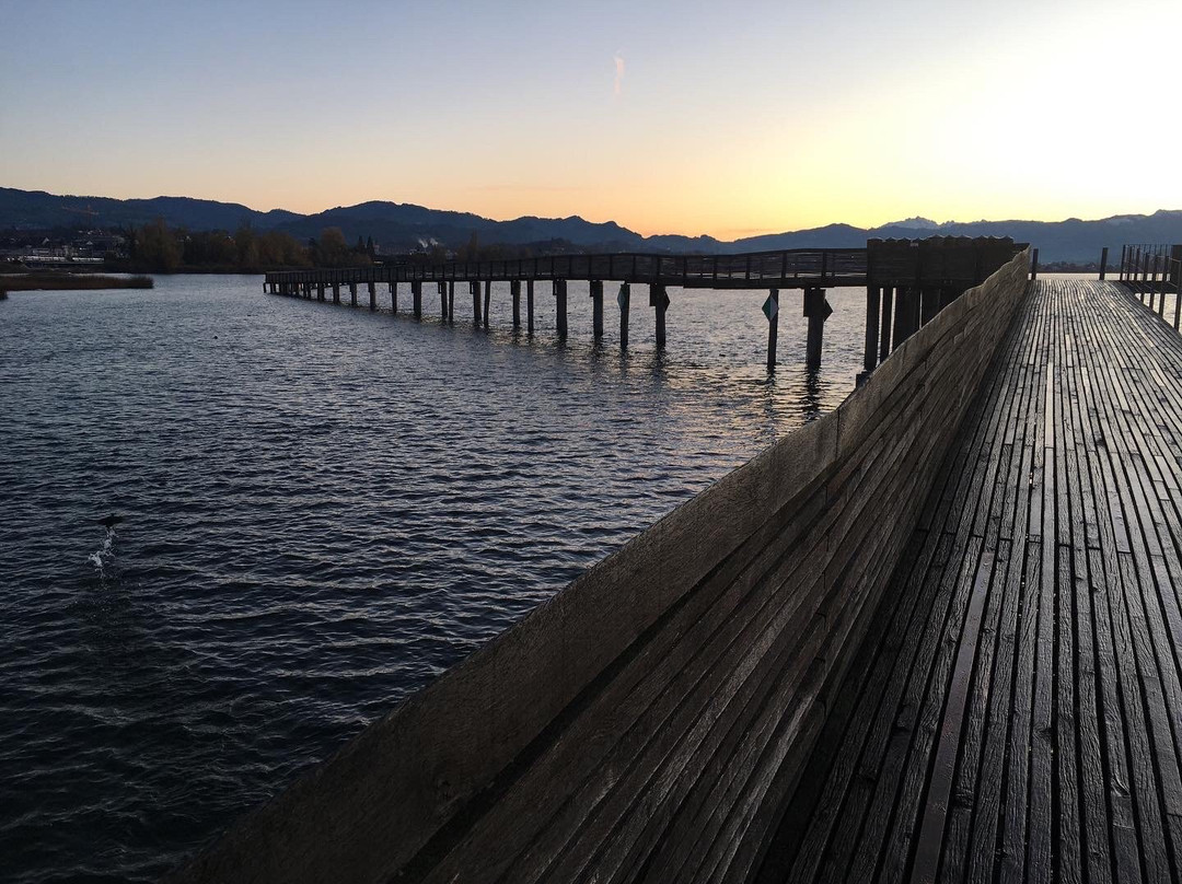 Wooden Bridge from Rapperswil to Hurden-拉珀斯维尔必去景点