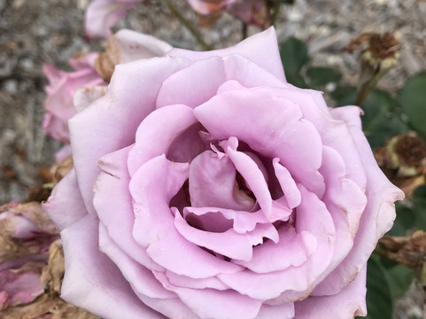 Victorian Timber Workers Memorial-Heyfield必去景点