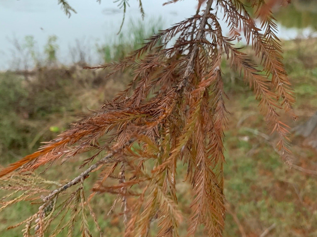 Mermet Lake State Fish and Wildlife Are-Belknap必去景点