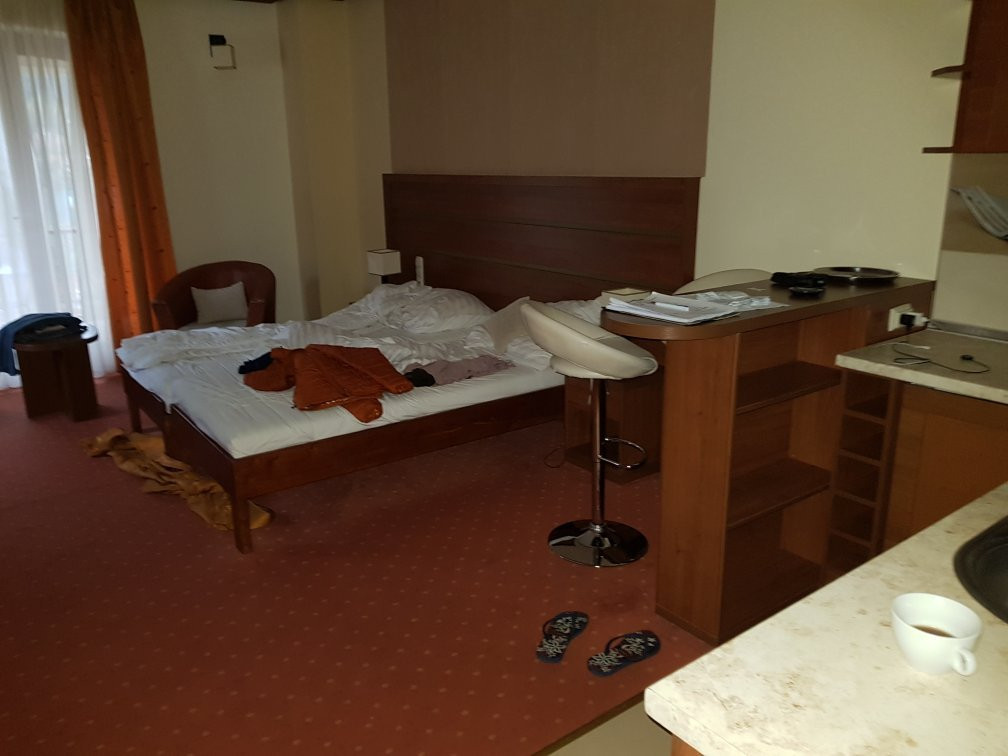 Aranybanya Hotel主图