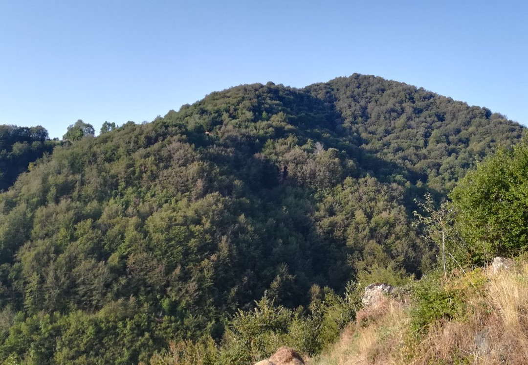 Rodopsko Katche主图