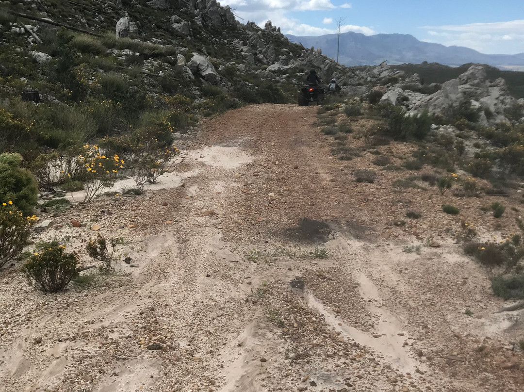 Cape Adventure Zone-开普敦中心区必去景点