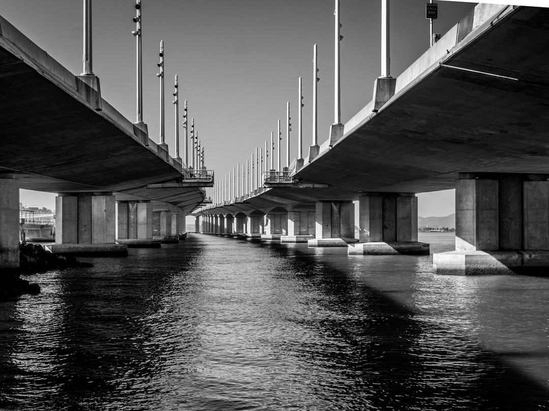 Bay Bridge Trail景点图片