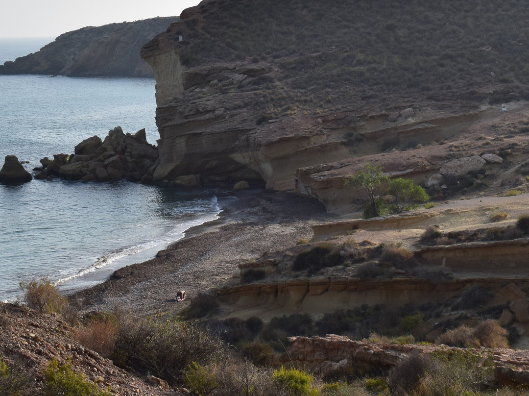 Playa Cueva de Lobos景点图片