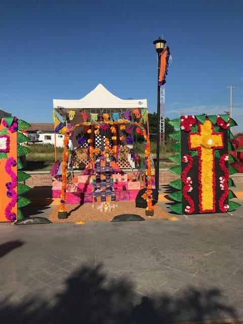 Guamuchil旅游攻略图片