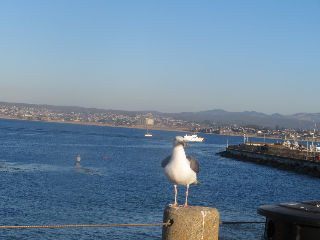 San Carlos Beach-蒙特雷必去景点