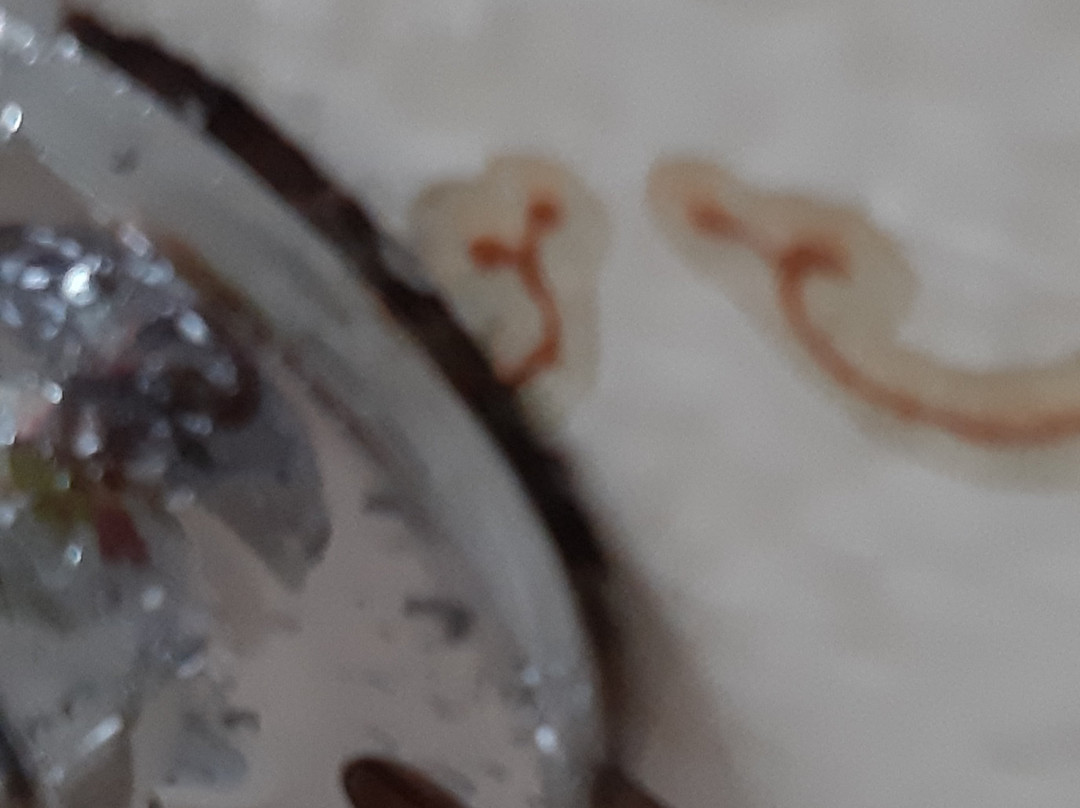 Hotel Hollerather Hof主图