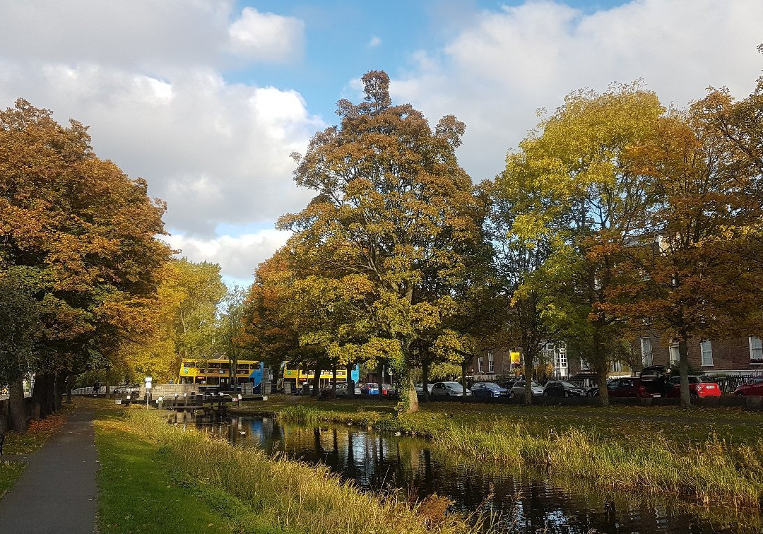 Grand Canal in County Kildare景点图片