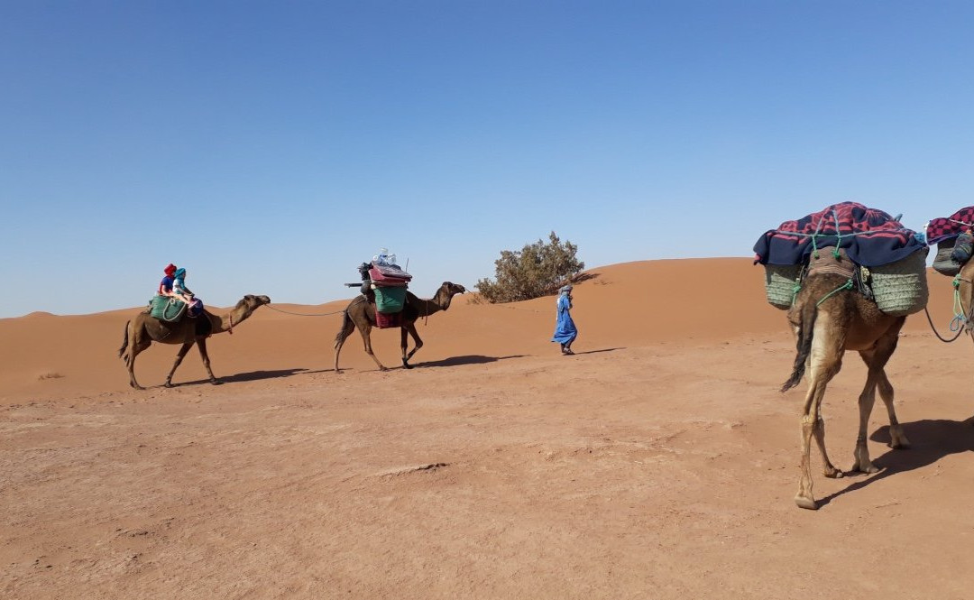 Sables Emouvants-迈哈米德必去景点