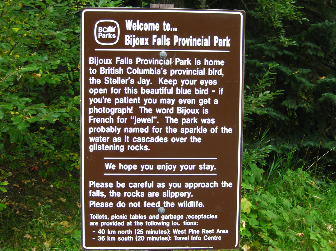 Bijoux Falls Provincial Park景点图片