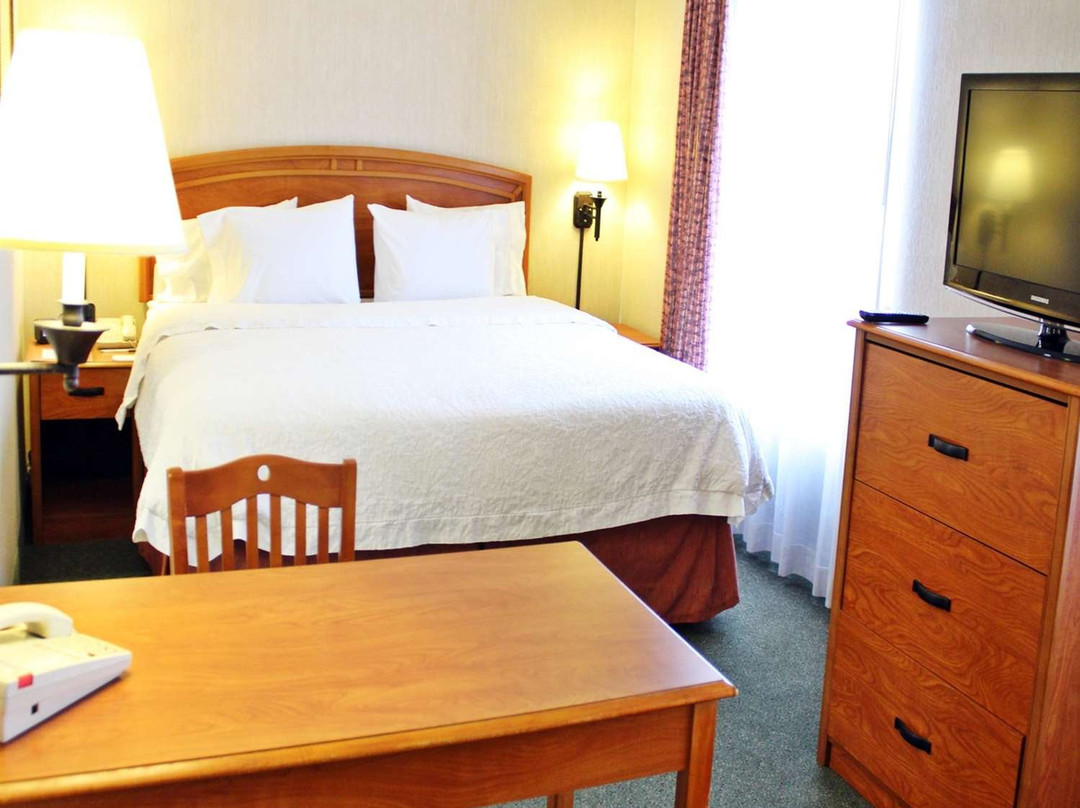 Hampton by Hilton Saltillo主图