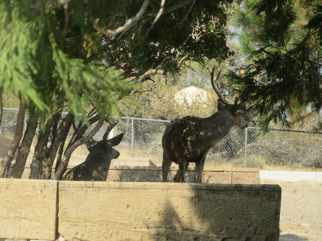 Genoa Cemetery-Genoa必去景点
