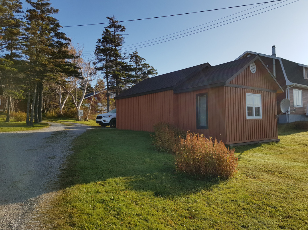 Wildflowers Country Inn主图