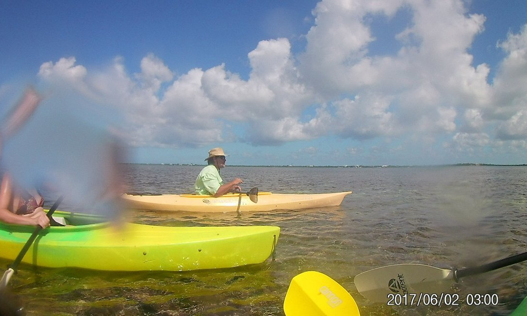 Florida Keys Kayaks and Eco Tours景点图片