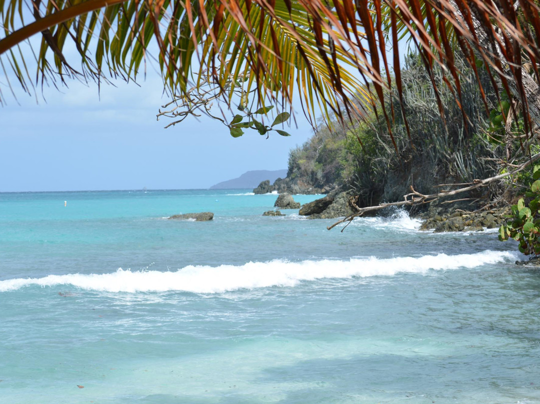 Oppenheimer Beach
