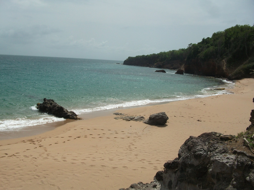 Plage Naturiste景点图片